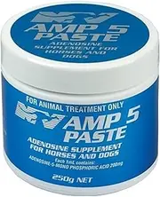 CEVA AMP 5 PASTE 250G