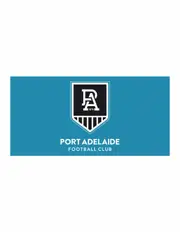 Port Adelaide Power AFL Pole Flag