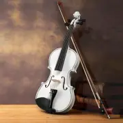 Full Size 4/4 Violin Set for Adults Beginners with Hard Case Violin Bow Basswood