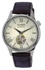 Citizen Calf Leather Strap Ivory Dial Automatic NH9130-17A Men's Watch