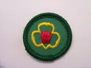 Girl Scout Badge (1963-1980): My Troop