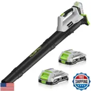 ALDIPRO Cordless Leaf Blower 21V Ultra-Lightweight 3 Lbs Electric Leaf Blower