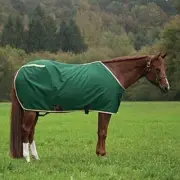 NEW BIG D 420D NYLON GREEN HORSE BLANKET SHEET CLOSED FRONT SIZE 70