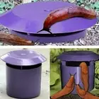 Slug & Snail Traps Garden Pest Catcher Safe and Simple To Use Beer