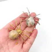 5pcs Natural Crazy Agate Spider Reiki Sphere Crystal Quartz Healing Decorate