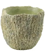 A&B Home 7in Bitter Gourd Outdoor Planter