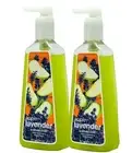 2 BATH & BODY WORKS APPLE LAVENDER ANTI-BACTERIAL DEEP CLEANSING HAND SOAP NEW