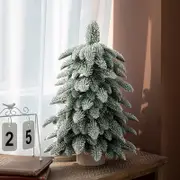 GGP 55Cm Frosted Mini Christmas Tree Snow Covered Indoor Holiday Decoration