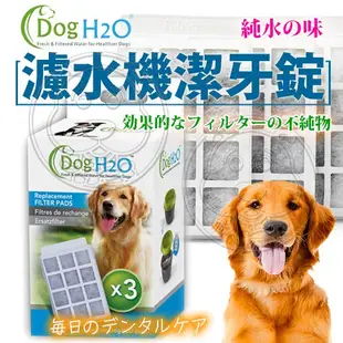 《Dog&Cat》H2O有氧濾水機6L活性炭濾棉(一盒3入)【培菓寵物】