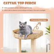 Costway 131CM Wooden Cat Scratching Post w/Dangling Balls & Hand Made Basket Bed Beige