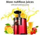 Fruit Vegetable Slow Juicer Orange Lemon Cold Press Juice Extractor Masticating