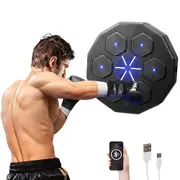 ProPulse Smart Punching Boxing Electronic Music Machine Bluetooth Home Training