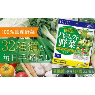 DHC 日本 32種蔬菜合成 野菜 野菜錠 30日分 120粒 乳酸菌+酵母 野菜不足 幫助補充 國產 日本代購
