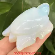 2'' Opalite sea turtles quartz crystal carved skull decor healing reiki 1pc