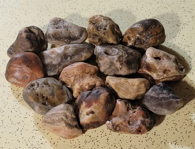 Nebraska Prairie Agates Rocks Gems Stones Minerals - Lot Of 15