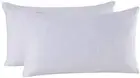 Set Of 2 Feather And Down Pillow Insert 10x18 Rectangle Decorative Throw Pillow