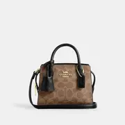 Andrea Mini Carryall Bag In Signature Canvas