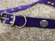 Vanderbilt University Purple Nylon Dog Collar Sizes 14” & 16”
