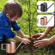 Mini Watering Can for Indoor Plants 300ml Stainless Steel Watering Pot lexFD