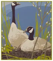 Canadian Geese Birds by A.J. Casson Counted Cross Stitch Pattern