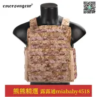 在飛比找露天拍賣優惠-【軍迷 戶外戰術用品】愛默生 EMERSON 戰術背心 PR