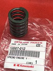 Z1 Z900 Z1000 Z650 Z1R Z1300 New Genuine Kawasaki Outer Valve Spring 12007-012