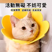 在飛比找蝦皮購物優惠-台灣6H寄出 防咬防舔頭套 太陽花脖圈 伊莉莎白圈 貓頭套 