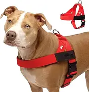 DF Co. Dog Harness | Chafe Resistant Webbing, Adjustable Neck & Chest, and Heavy Duty D-Ring | Sturdy, Comfortable, Easy to Use | Red, Size S