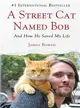 A Street Cat Named Bob ― And How He Saved My Life