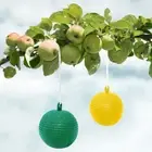 Gnat Traps 8cm Sticky Trap Pest Control for Indoor Outdoor House Kitchen Plants