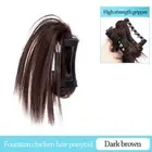 Black Wig Hair Claw High Temperature Wire Ponytail Wig Hairpiece for Women