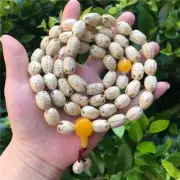 54pcs Beads Natural Bodhi Seed Bracelet Buddha Lucky Car Gear Shift Beads