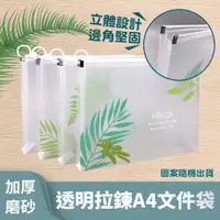 在飛比找PChome24h購物優惠-加厚磨砂透明拉錬A4文件袋 (超值5入)