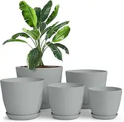 [Utopia Home] Plant Pots Indoor with Drainage - 7/6.6/6/5.3/4.8 Inches Home Decor Flower Pots for Indoor Planter - Pack of 5 Plastic Planters for Indoor Plants, Cactus, Succulents Pot - Gray, Grey