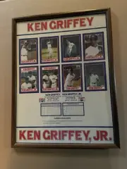 Griffey Jr 1990 Pepsi 13” X 17” Salesman Sample Framed Display Of Cards!