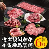 在飛比找PChome24h購物優惠-【中秋烤肉】TOP世界金賞和牛ソ極品饗宴(6盒/組；燒烤/火