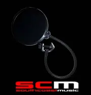 DUAL DIAPHRAGM POP FILTER SCREEN FOR RECORDING MICROPHONES MUST HAVE STUDIO TOOL