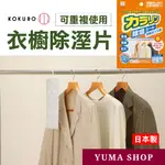 日本 可重複使用衣櫃防潮除濕袋  KOKUBO除濕包