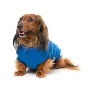 Fuzzyard Blue Allday Dog Jumper