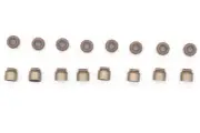 Safety Auto Parts Valve Stem Oil Seal-DOHC, Eng Code: QR25DE, 16 Valves