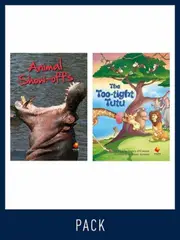 Flying Start Guided Reading Level 19, Pack 2
