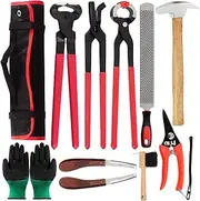 Swpeet Mini Rasp Hoof File Goat Pig Equine Metal Shears (NO.3)