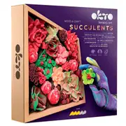 Okto Succulents Passion Sensory Art Wood And Craft Creative Set