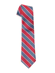 Multi Coloured School Tie