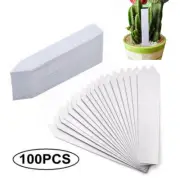100x Plastic Plant Seed Labels Pot Marker Nursery Garden Stake Tags 10cm x2cm