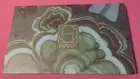 New BoxyCharm HIPDOT Cenote Pressed Eyeshadow Palette 15 Pan Matte & Shimmer NIB