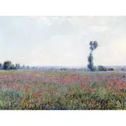 Claude Monet Poppy Field Canvas Art Print Poster