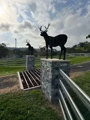 Deer Sculpture Garden Buck Corten Metal