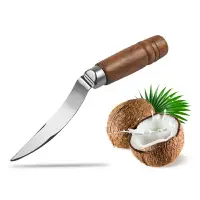 在飛比找樂天市場購物網優惠-木柄不銹鋼椰子刀挖椰子肉去皮取肉器撬肉椰子開殼器開椰子