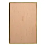 Pintura Rugosa Peach Series Canvas Painting